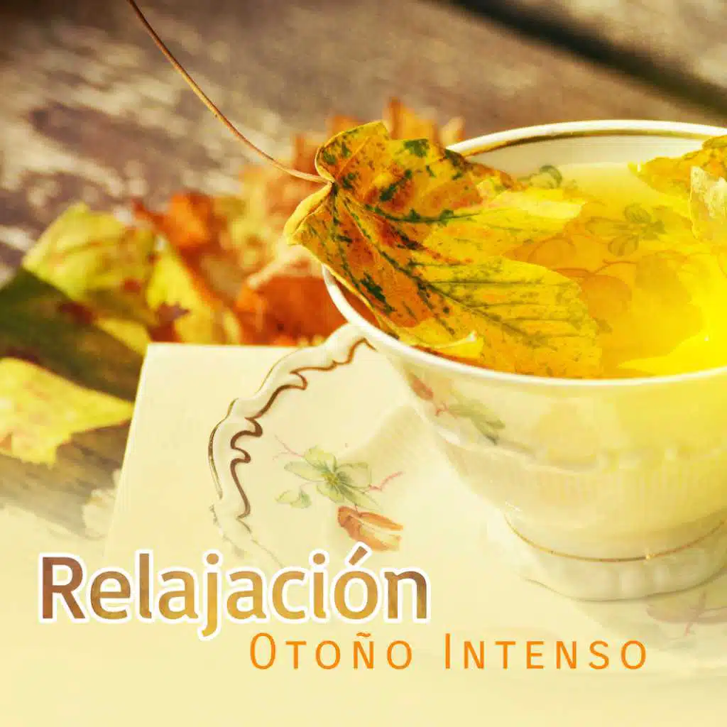 Relajación Otoño Intenso - Energía Positiva, Cura el Insomnio, Otoño Chill Out, Zen Serenidad, Spa & Masaje