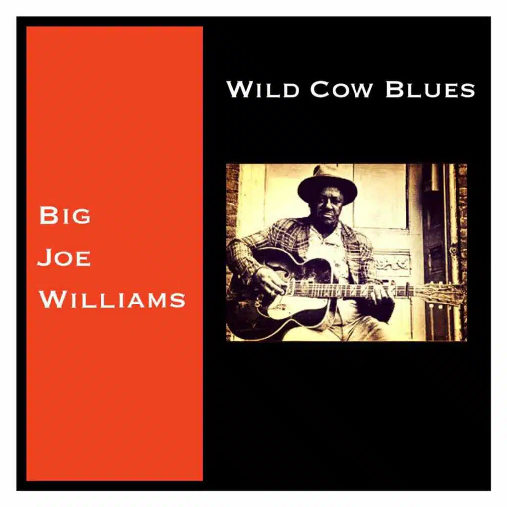 Wild Cow Blues