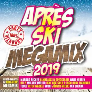 Après Ski Megamix 2019, Pt.1
