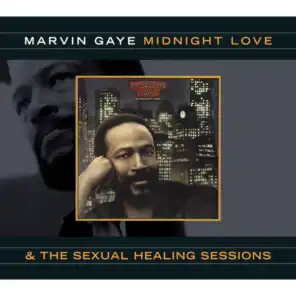 Sexual Healing (Alternate Vocal/Mix)