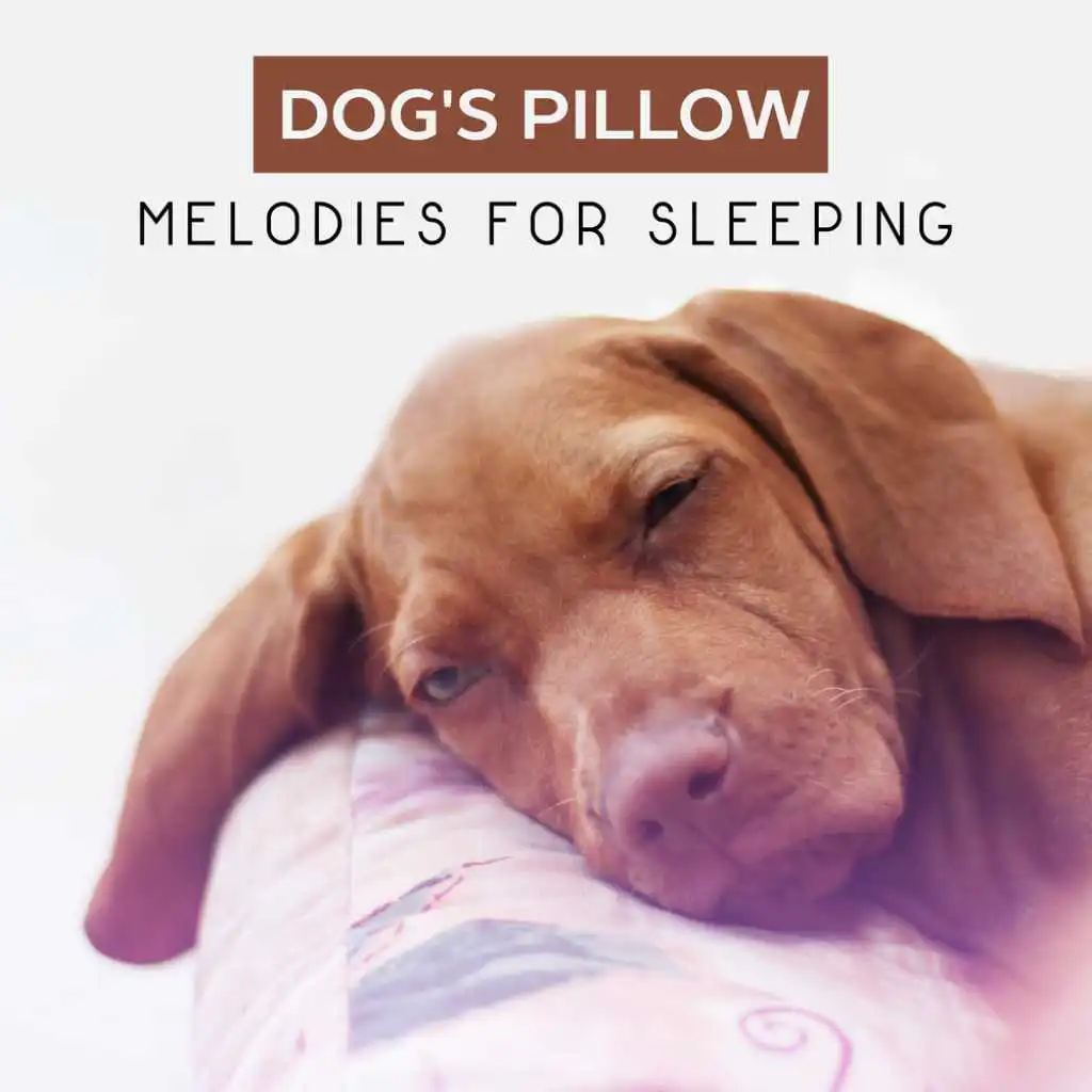 Dog's Pillow (Melodies for Sleeping)