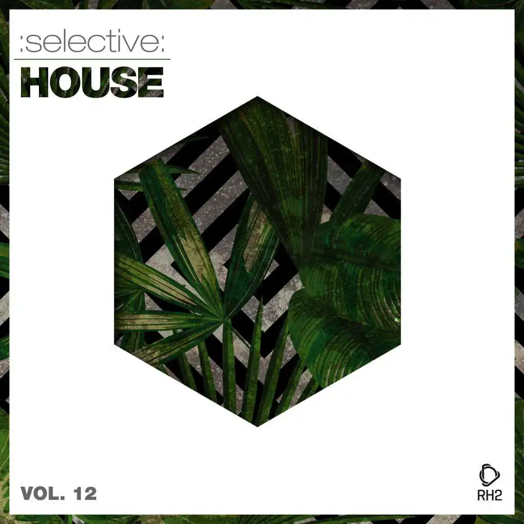 Selective: House, Vol. 12
