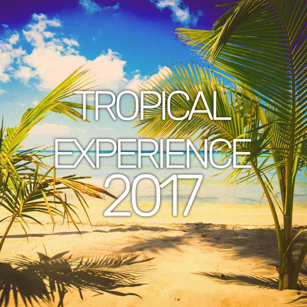 Tropical Experience 2017