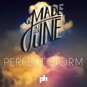 Perfect Storm (Original Mix)