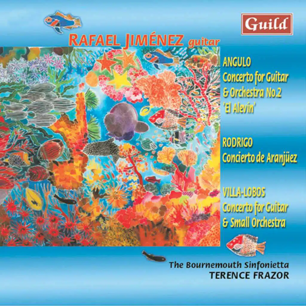 Concerto No. 2 'El Alevin': 1. Allegro Assai