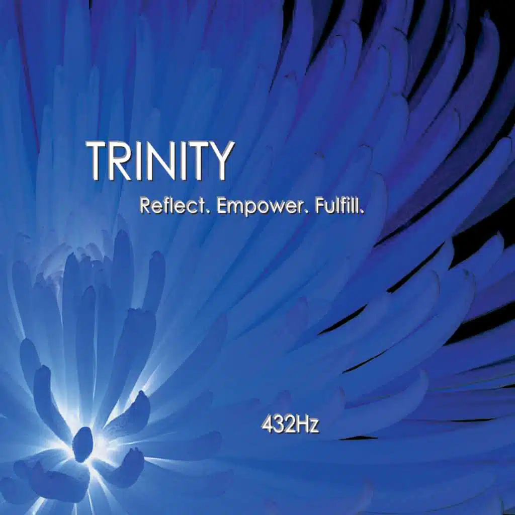 Trinity Collection