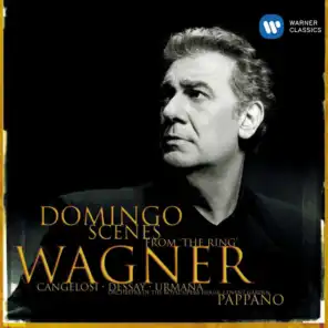 Wagner : Scenes/Domingo, Pappano