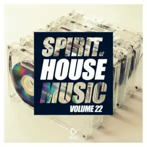 Spirit of House Music, Vol. 22