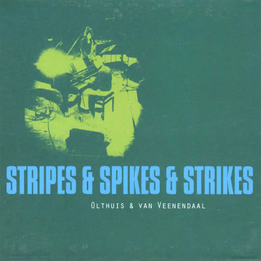 Olthuis & van Veenendaal