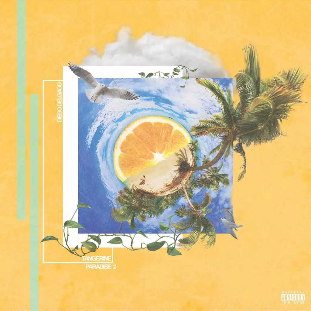 Tangerine Paradise 2