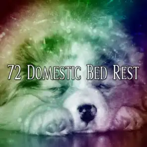 72 Domestic Bed Rest