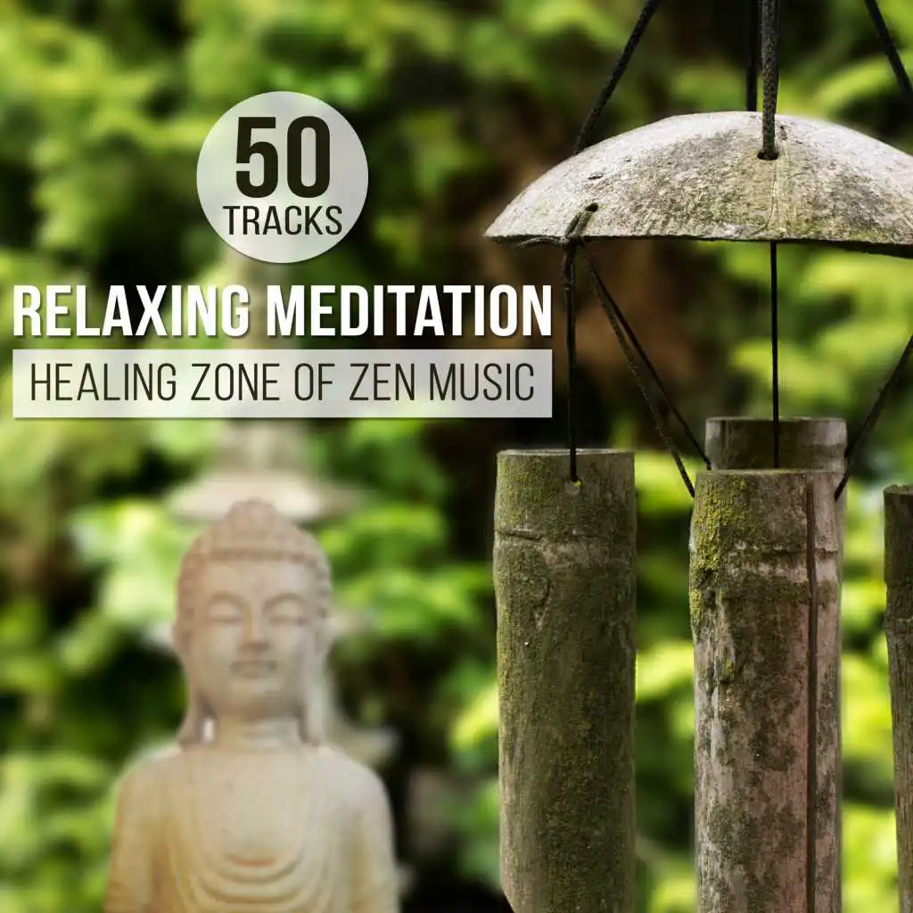 50 Tracks: Relaxing Meditation – Healing Zone of Zen Music for Harmony, Serenity & Wellness, Pure Relaxation for Body and Mind