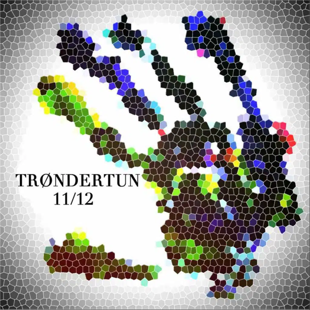 Trøndertun 11/12