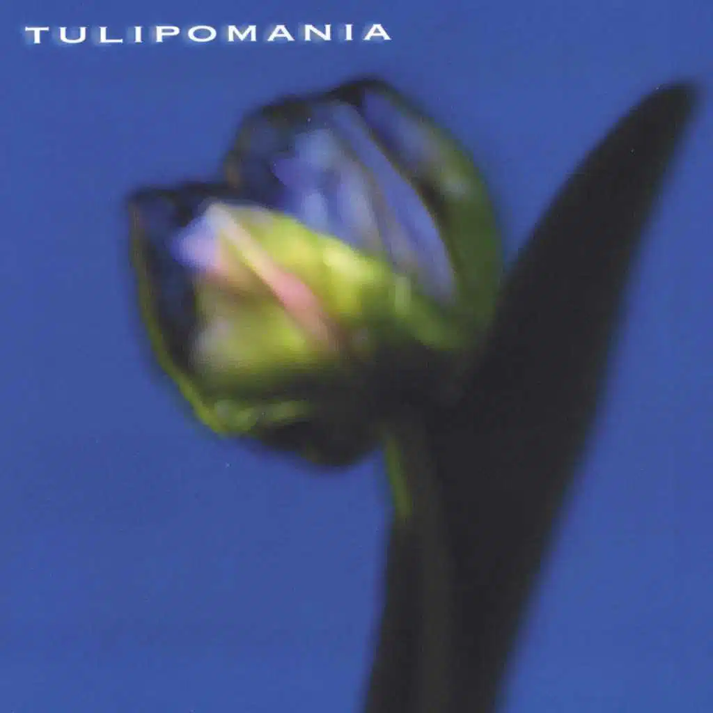 Tulipomania