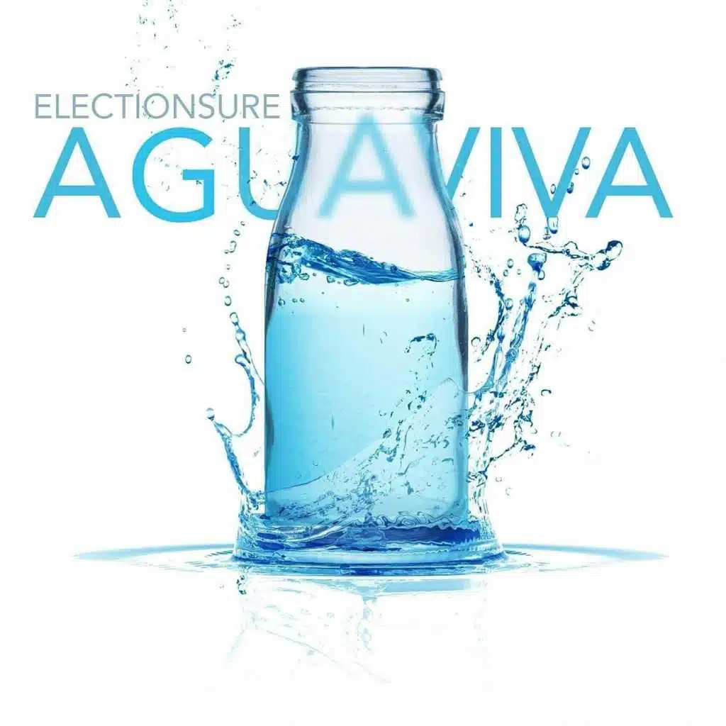 Electionsure