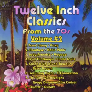 Twelve Inch Classics from the 70s, Vol. 2