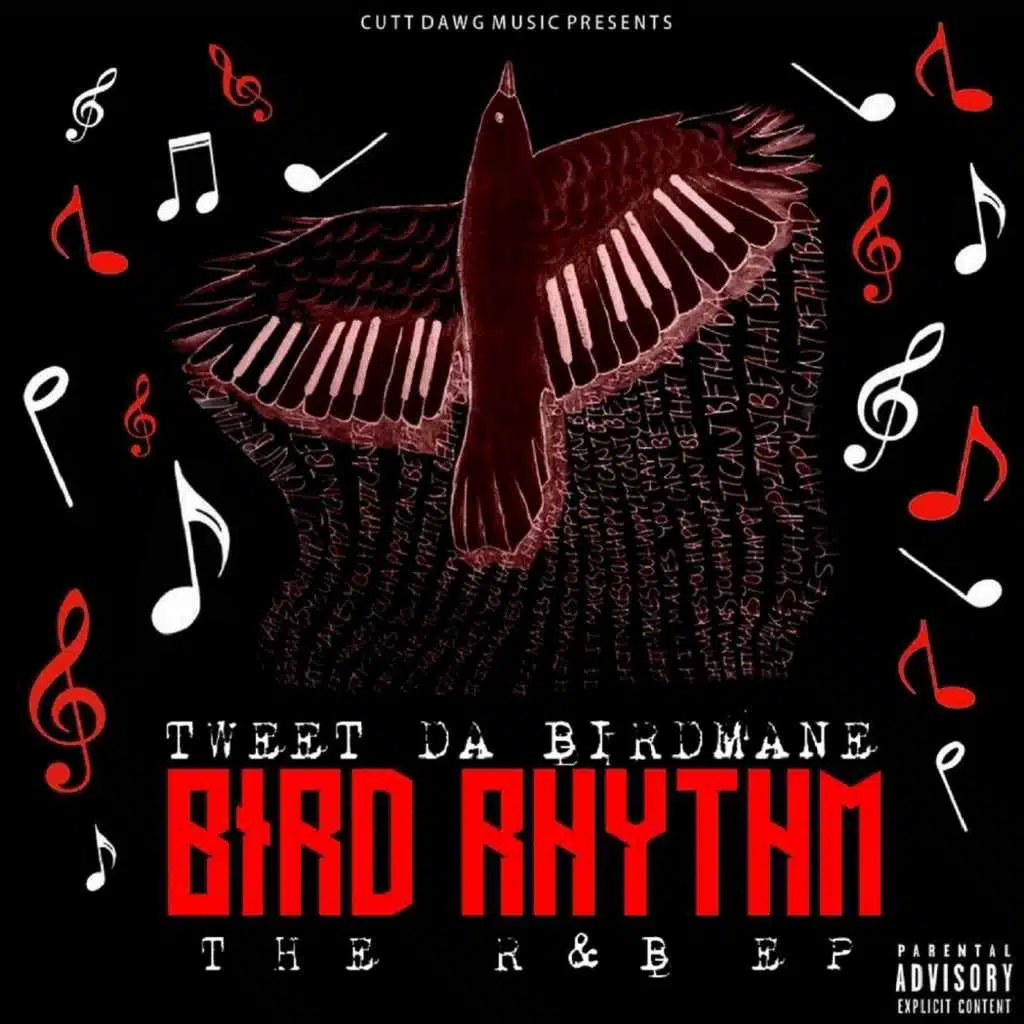 Bird Rhythm