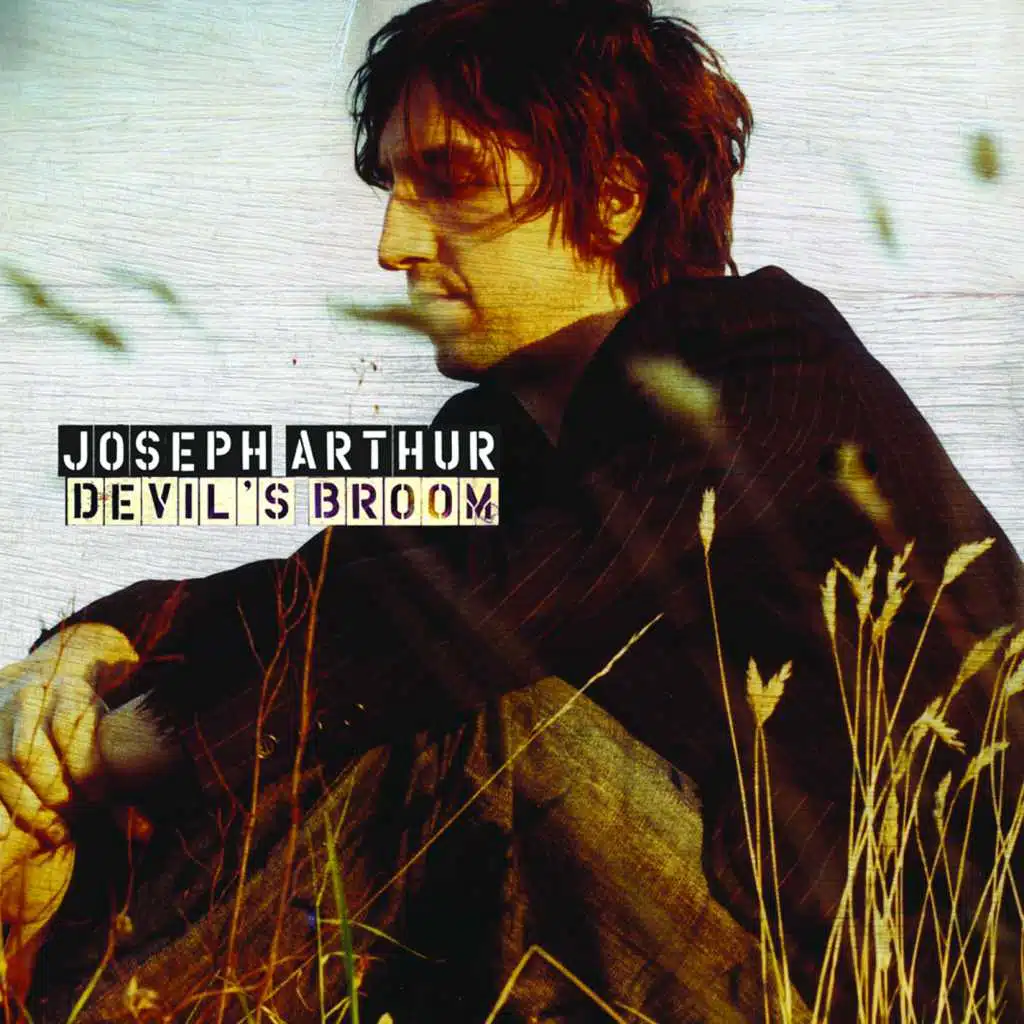 Devil's Broom (Acoustic Version)