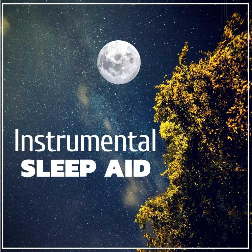 Natural Sleep Aid (Nature Sounds)
