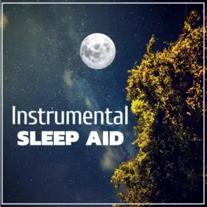 Instrumental Sleep Aid – Calm Background Music for Deep Sleep, Piano, Nature Sounds Relaxation