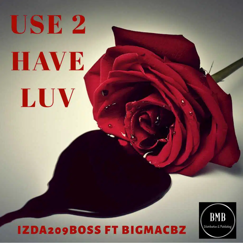 Use 2 Have Luv (feat. BigMacBz)