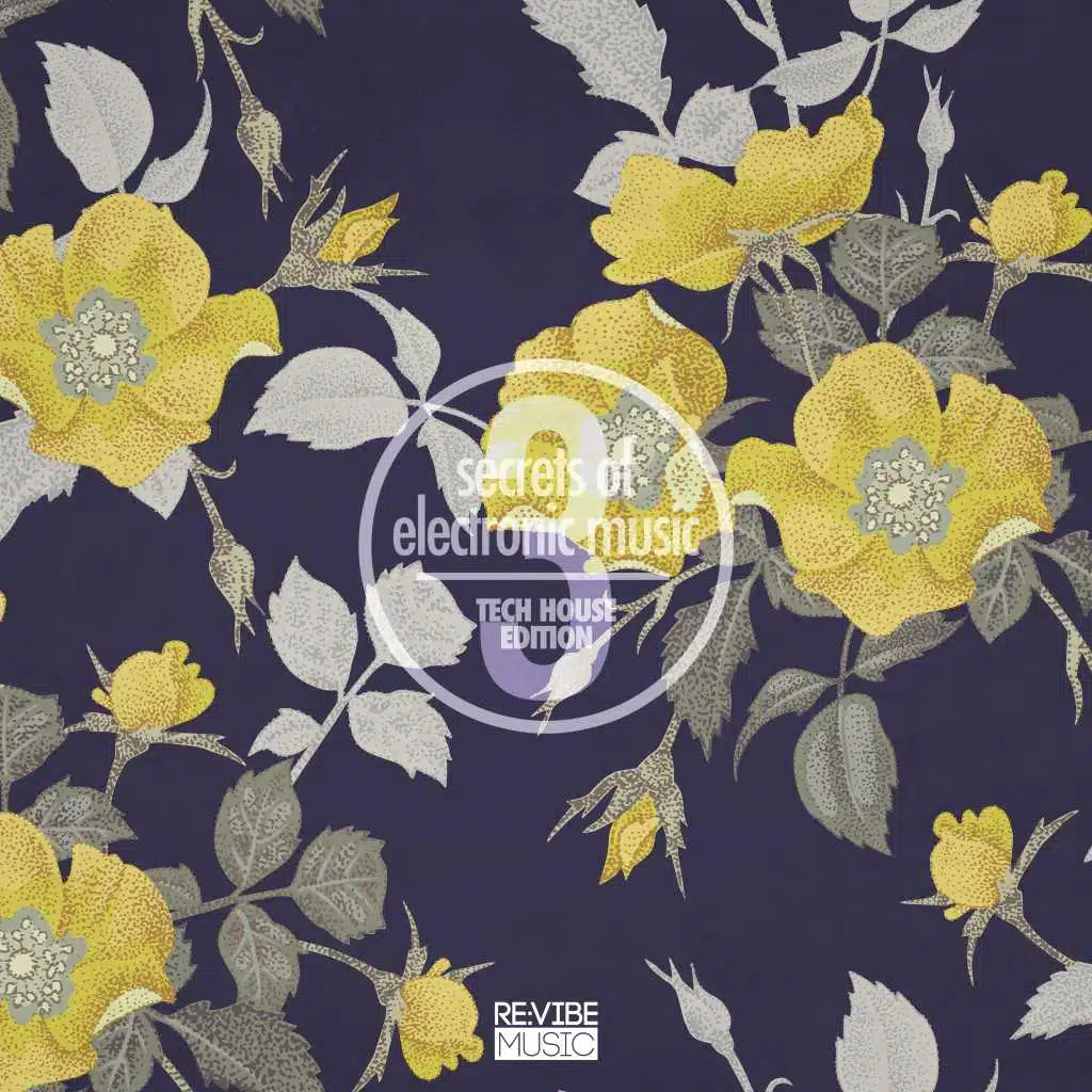 Secrets of Electronic Music - Tech House Edition, Vol. 3