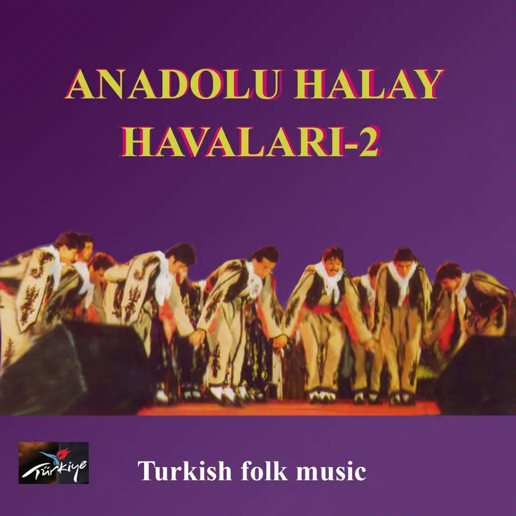 Anadolu Halay Havaları, Vol. 2