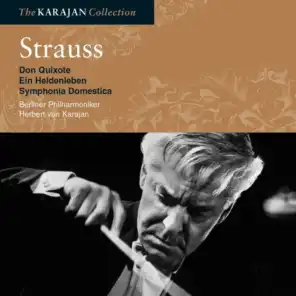 Strauss: Don Quixote, Op. 35, TrV 184: Variation III (Dialogue of Knight and Squire). Mässiges Zeitmass