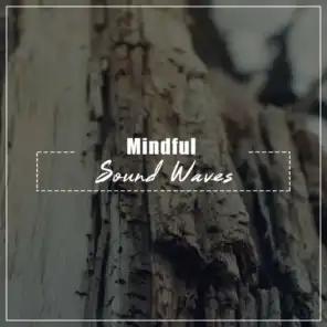 #14 Mindful Sound Waves