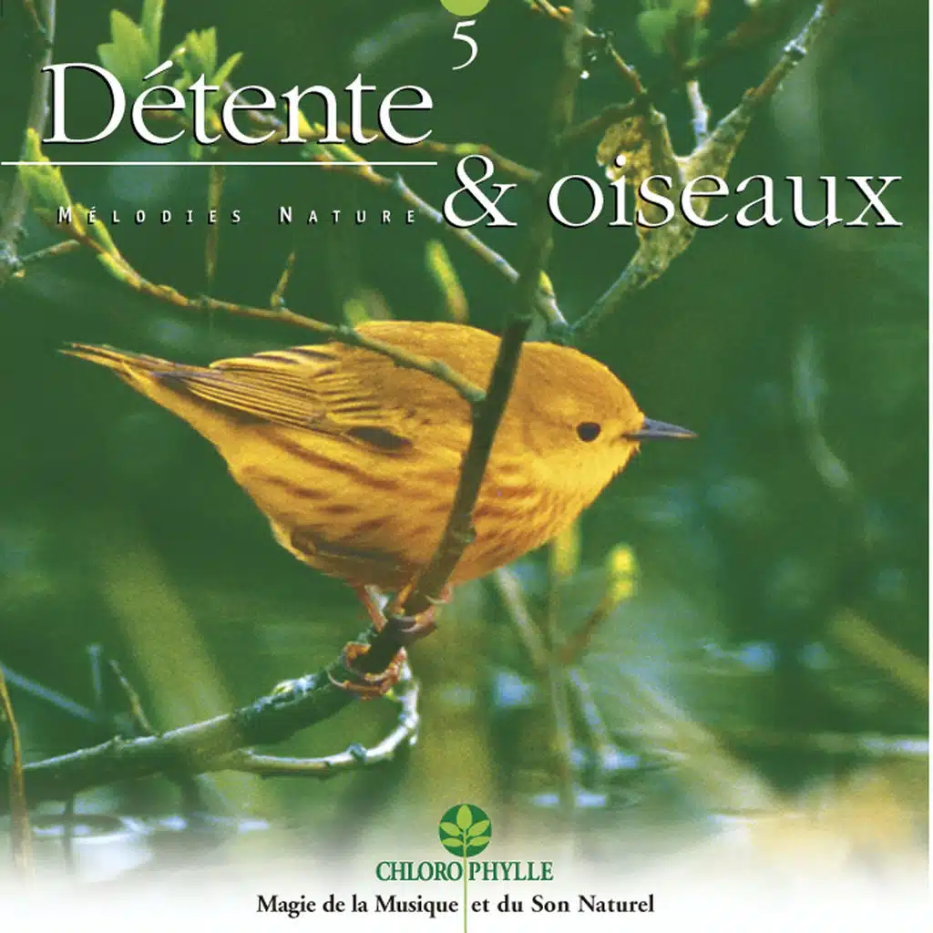 Chlorophylle 5 : Détente & oiseaux - Melodies Nature