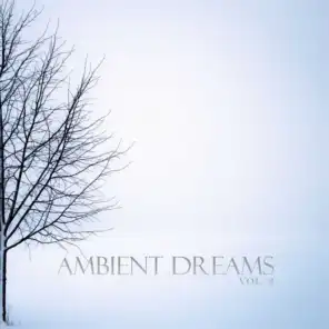 Ambient Dreams, Vol. 2