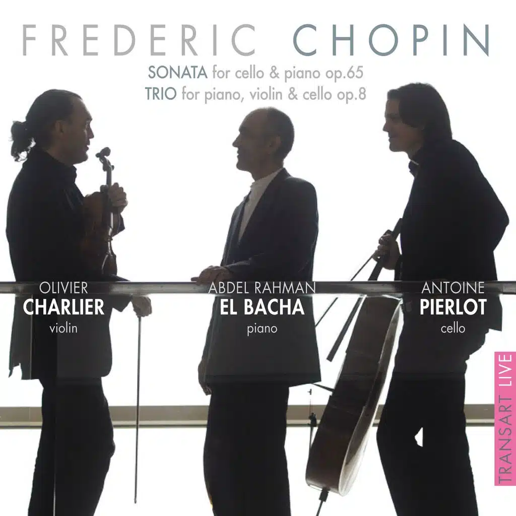 Trio, in G Minor, for Piano, Violin and Cello, Op. 8: Allegro con fuoco