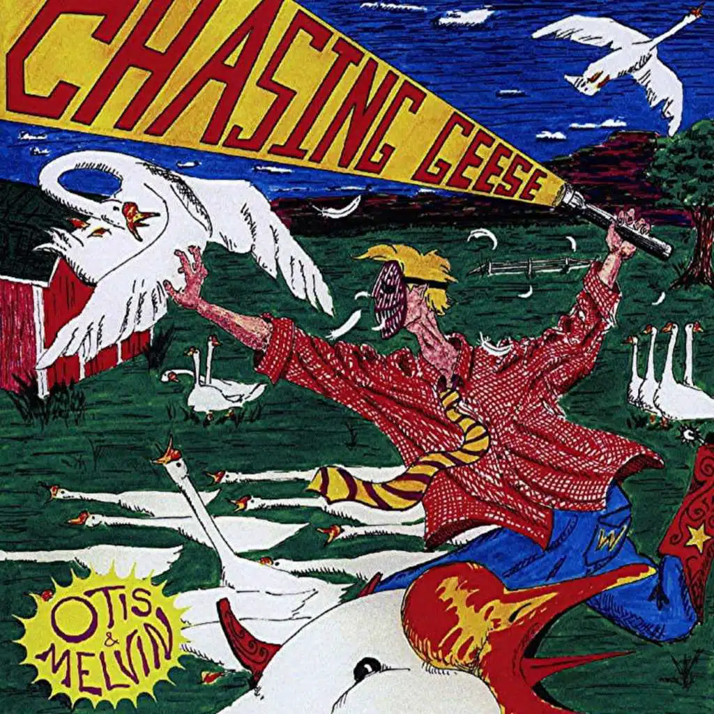 Chasing Geese