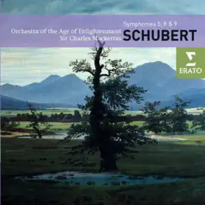 Symphony No. 5 in B flat major D485: III. Menuetto (Allegro molto) & Trio