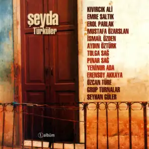 Şeyda Türküler, Vol. 1