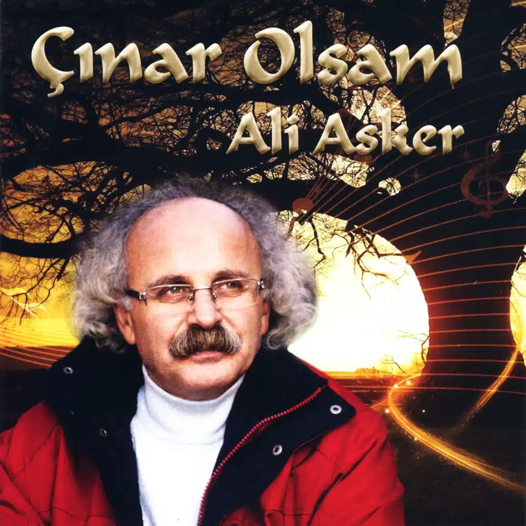 Çınar Olsam