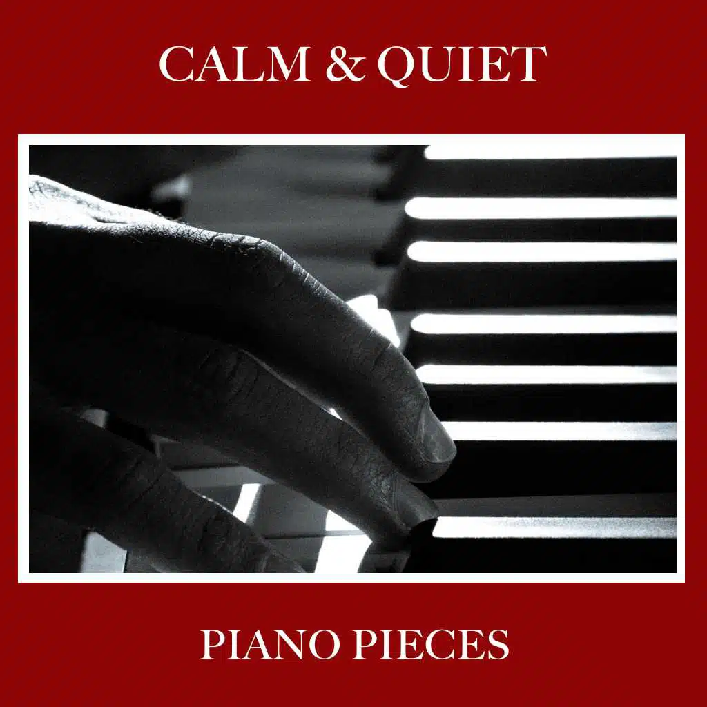 #17 Calm & Quiet Piano Pieces