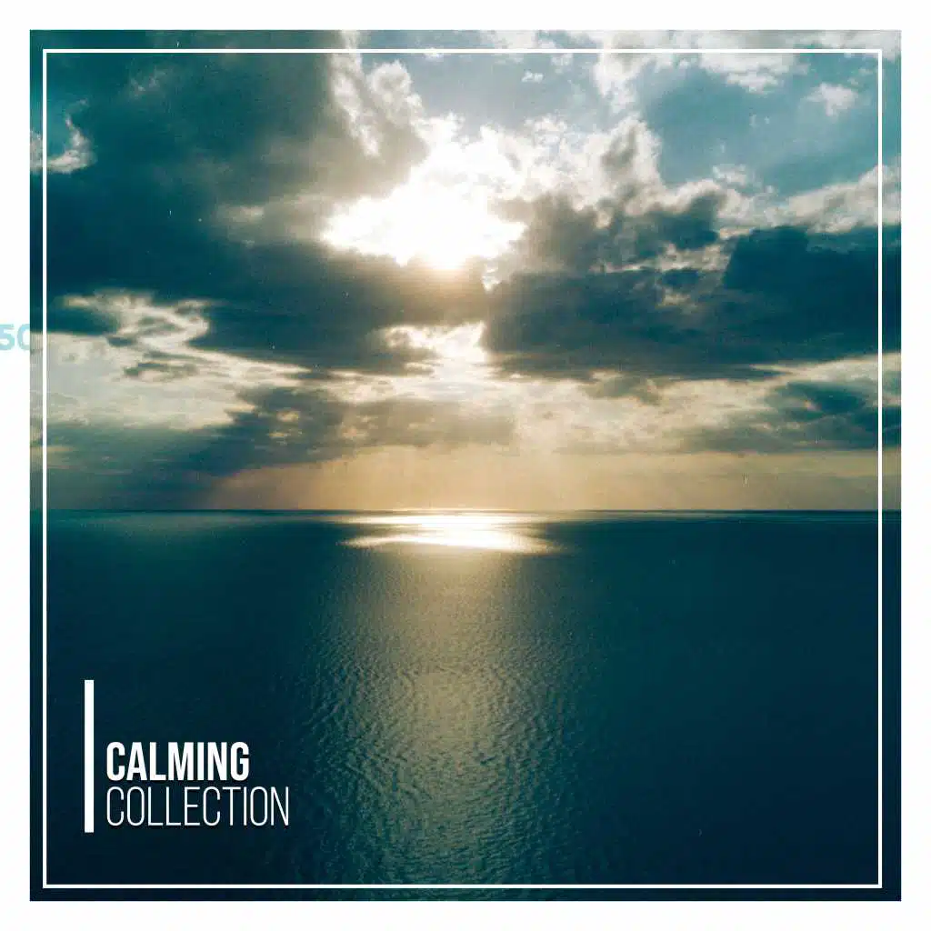 #15 Calming Collection for a Great Nights Sleep