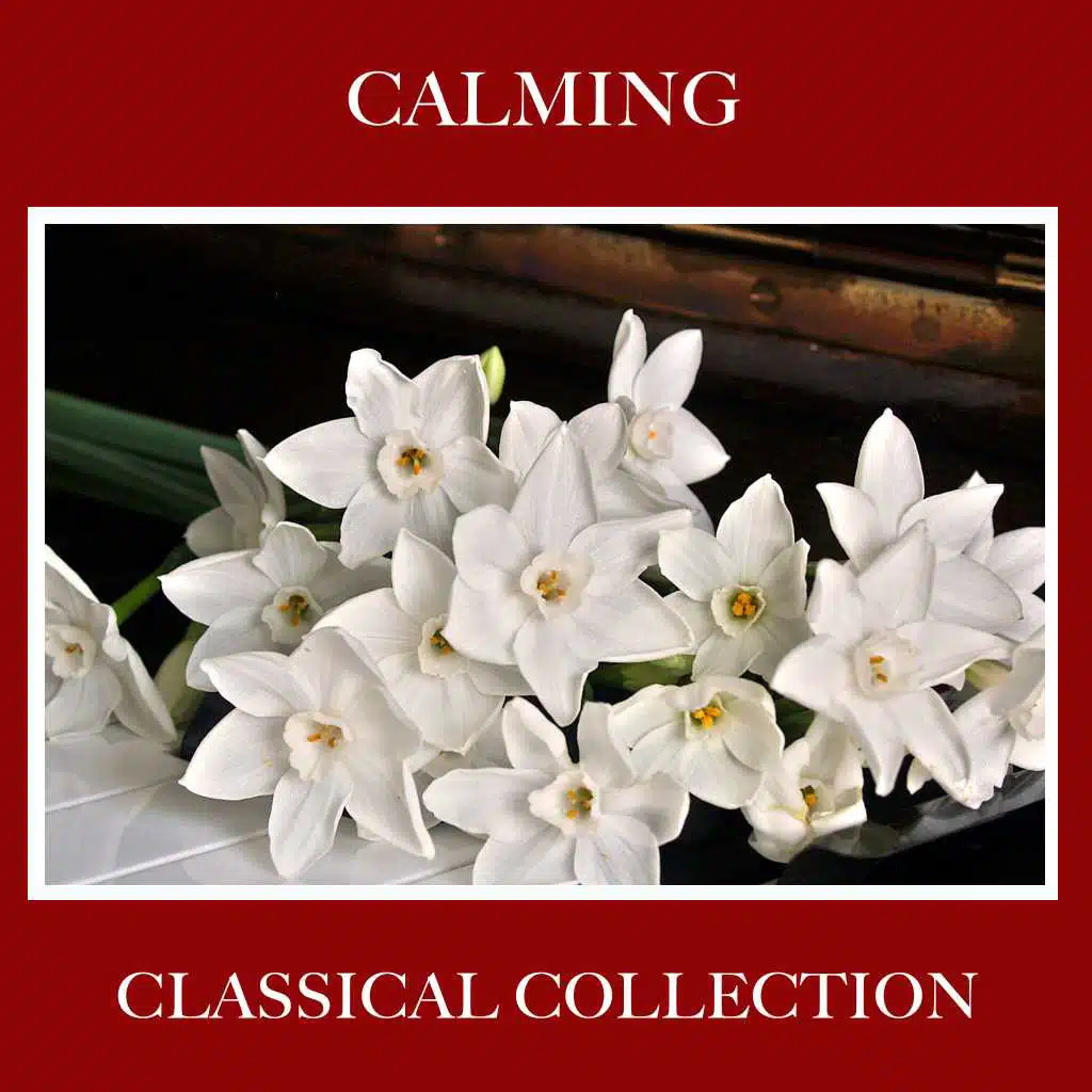 #18 Calming Classical Collection