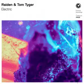 Raiden & Tom Tyger