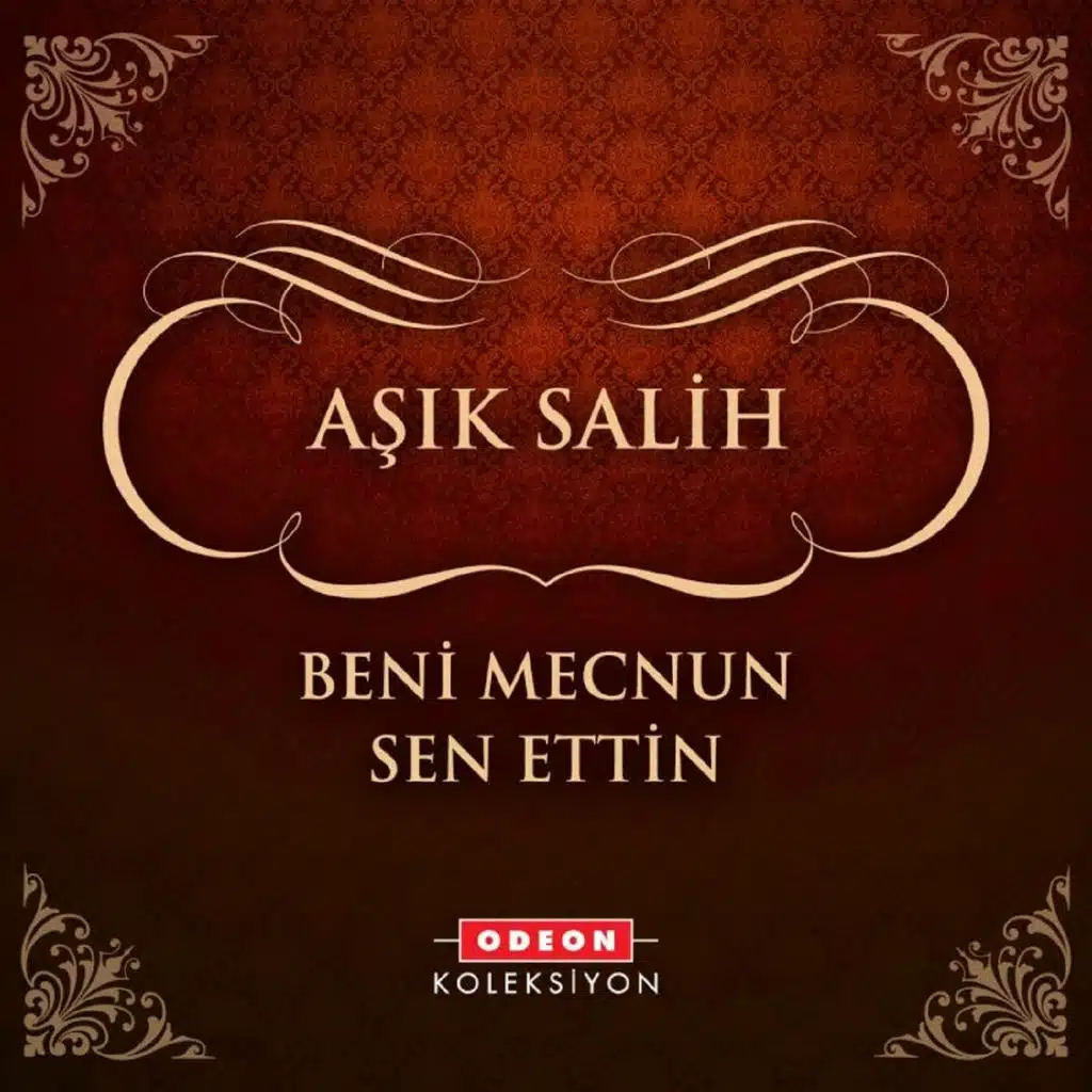 Beni Mecnun Sen Ettin
