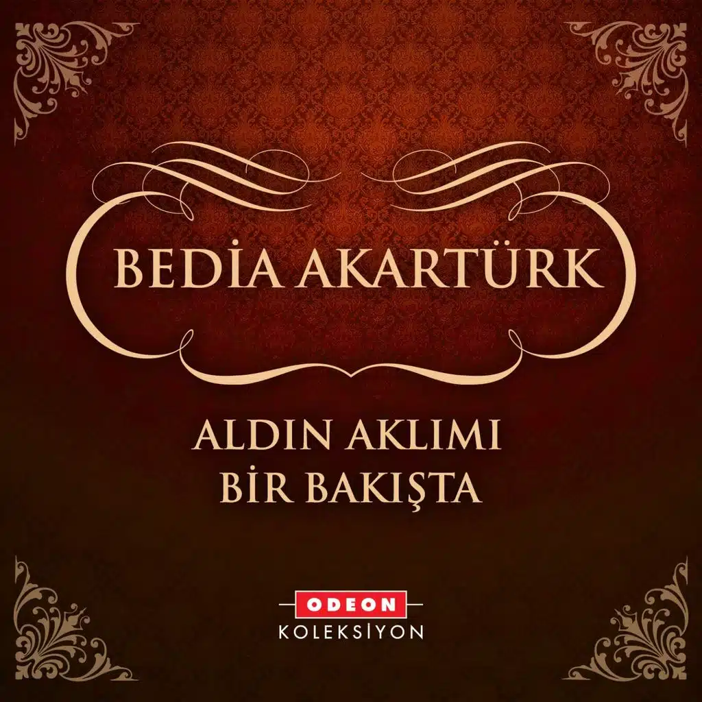 Aldın Aklımı Bir Bakışta