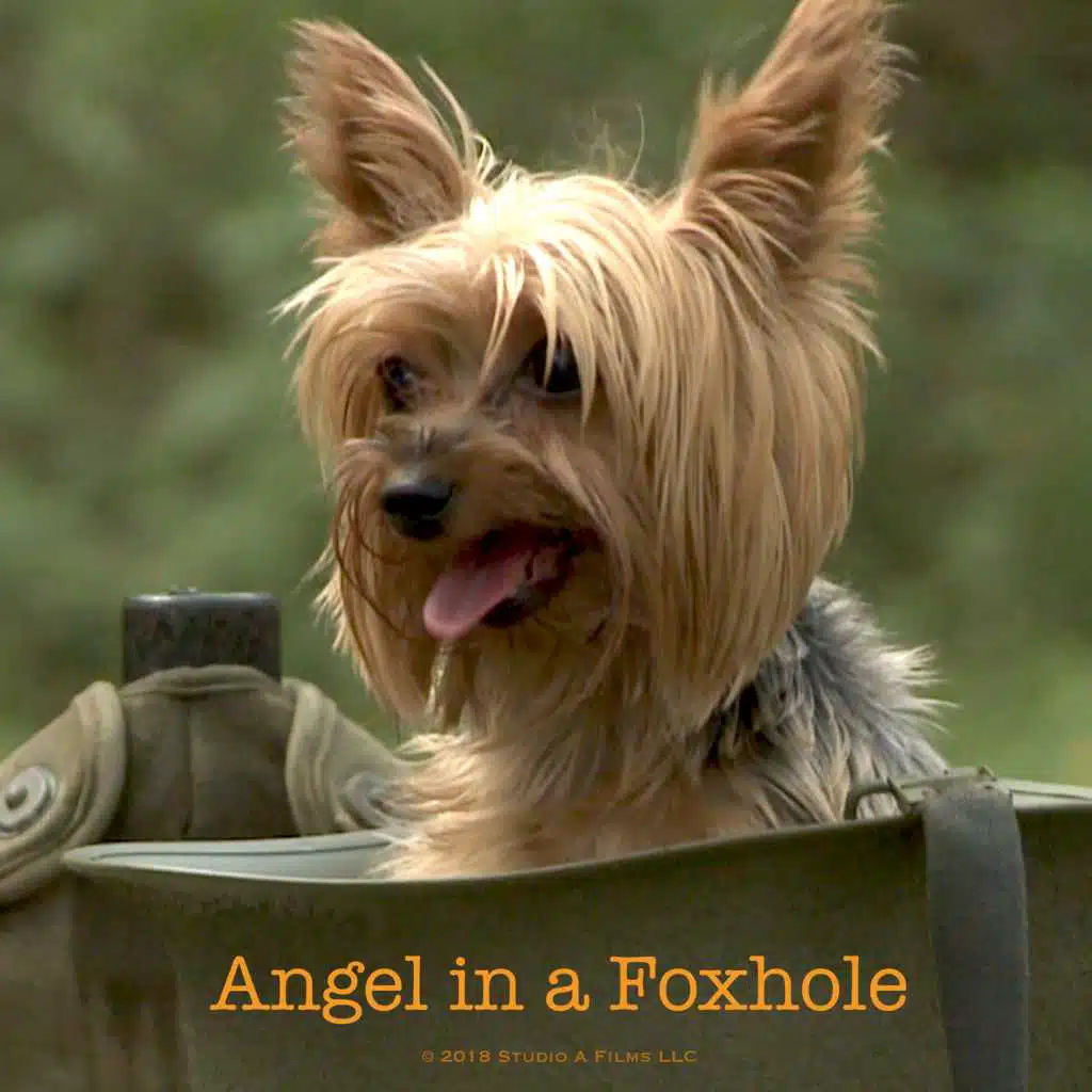 Angel in a Foxhole