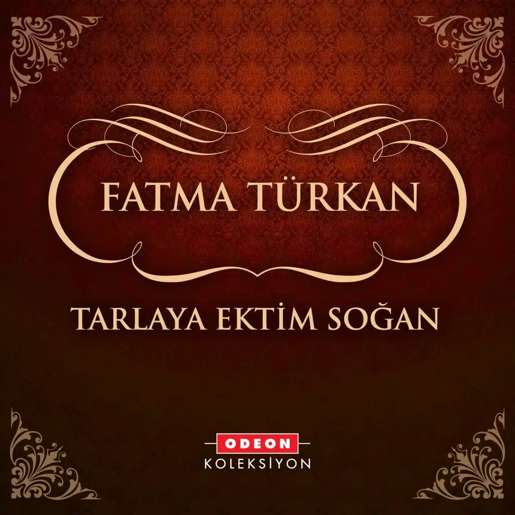 Tarlaya Ektim Soğan