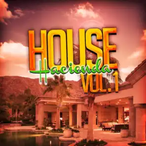 House Hacienda, Vol. 1