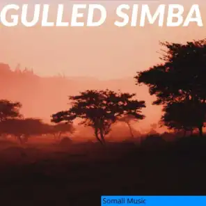 Gulled Simba