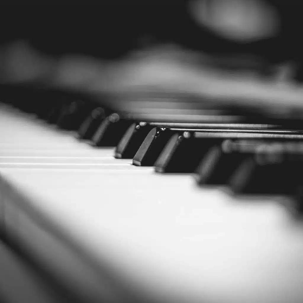 Inspirations in Black and White