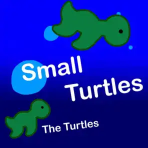 Small Turtles