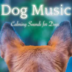 Dog Music - Calming Sounds for Dogs: Relaxation and Sleeping Music for Pets