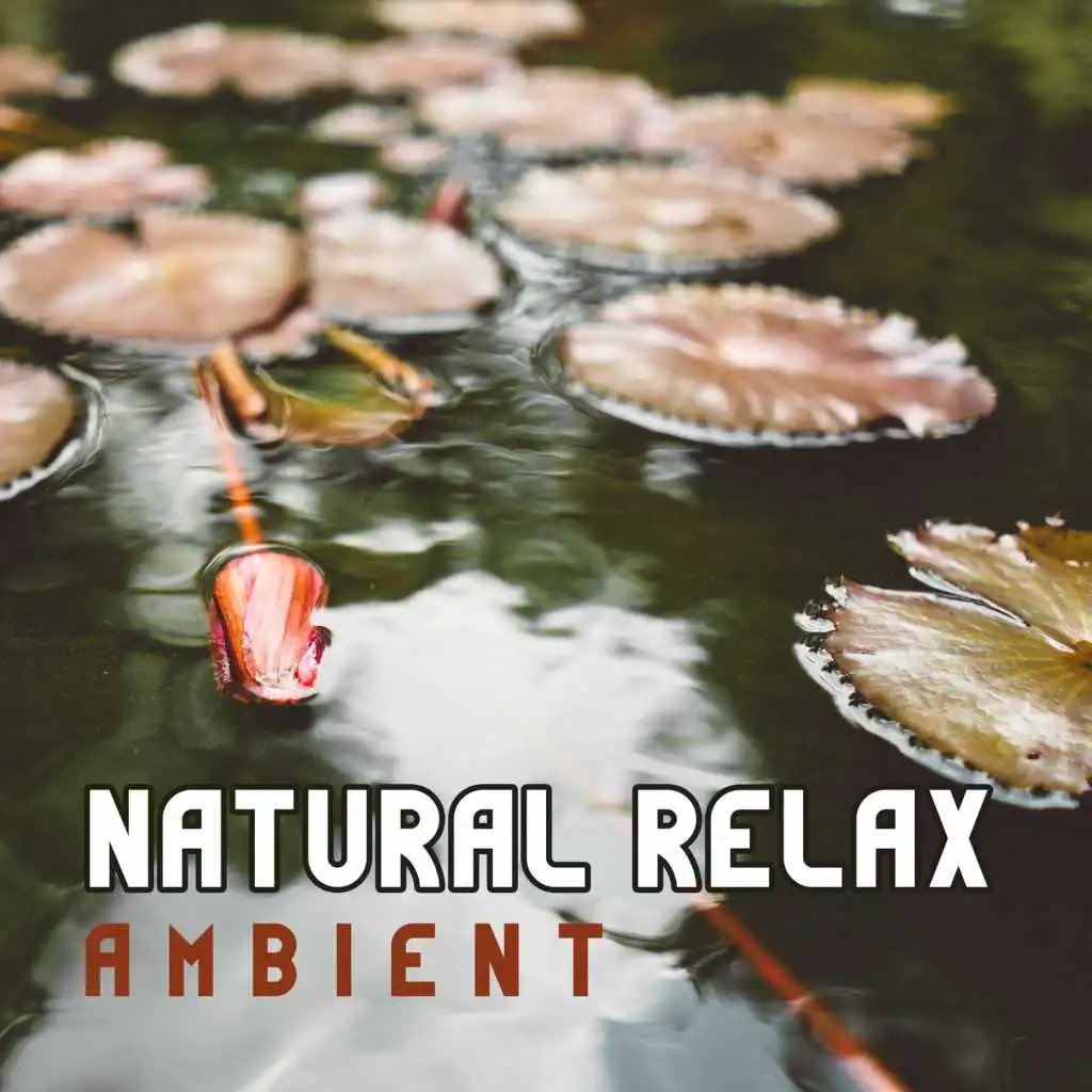 Natural Relax Ambient – Relaxing Music and Sounds of Nature, Healing Meditation, Inner Peace, Tranquility